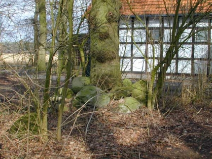 Bild 2 von 7 Findlinge
